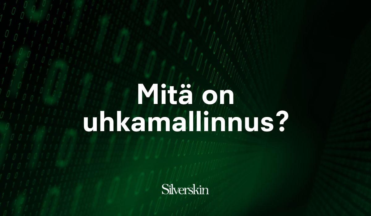 Mitä on uhkamallinnus_Silverskin Blogi