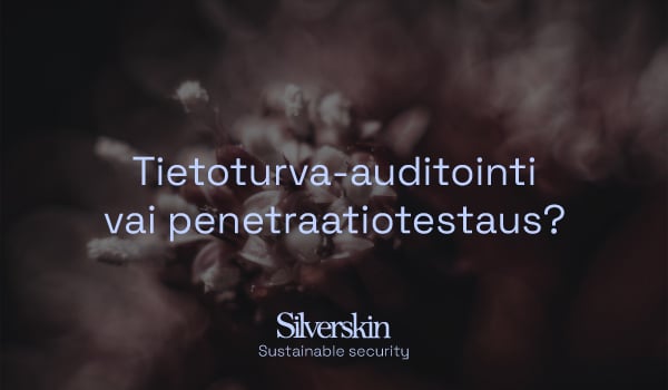 Silverskin_artikkeli_auditointi_vai_pentestaus_600x350