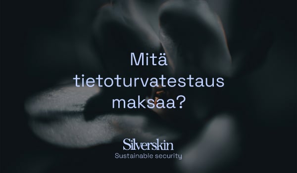 Silverskin_artikkeli_mita_tietoturvatestaus_maksaa_600x350