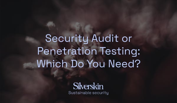 Silverskin_artikkeli_security_audit_or_penetration_testing_600x350