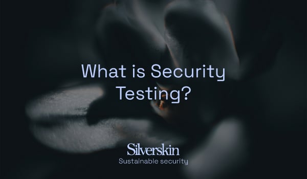 Silverskin_artikkeli_what_is_security_testing_600x350